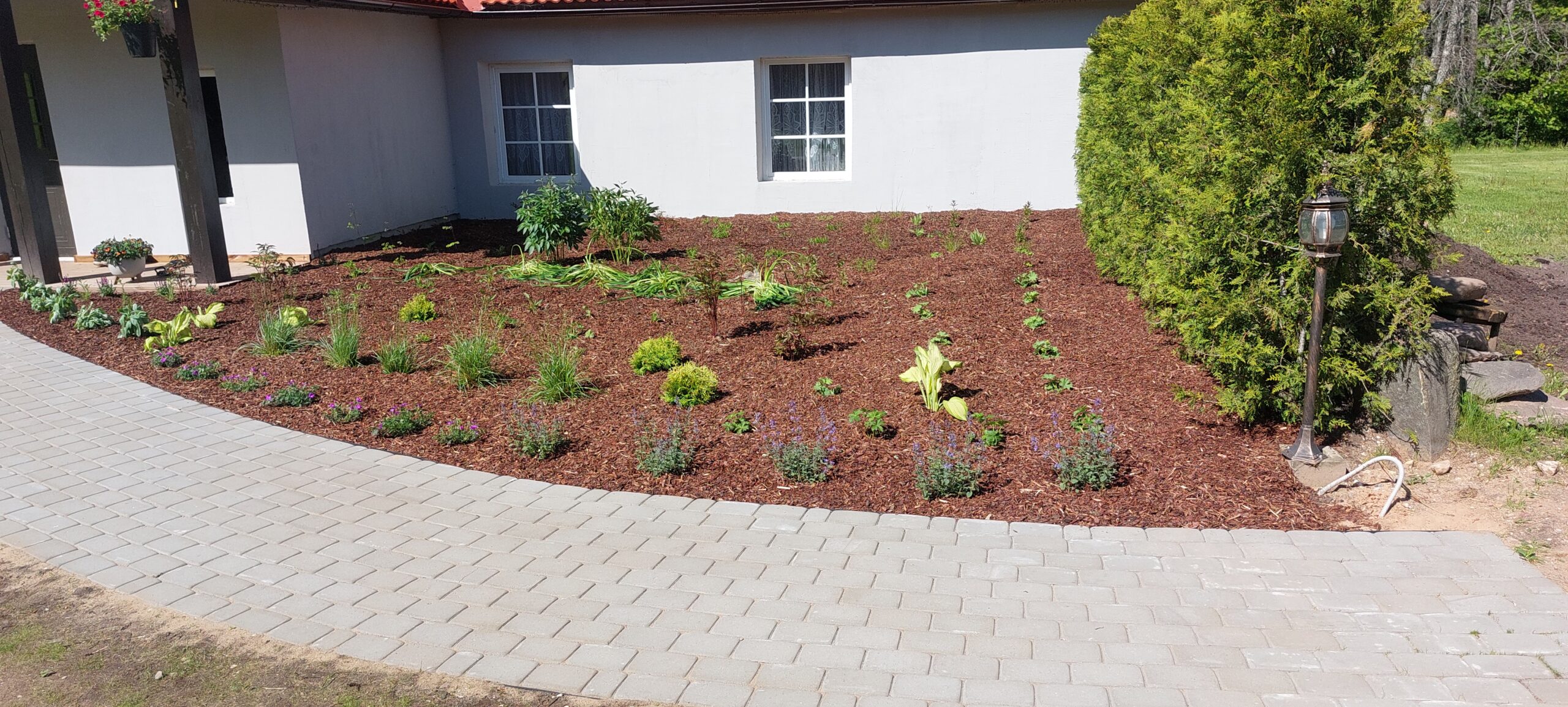 20250601 104807 1 scaled.jpg